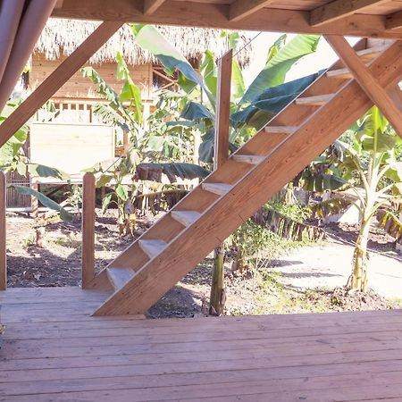 El Limon Samana Ecolodge מראה חיצוני תמונה