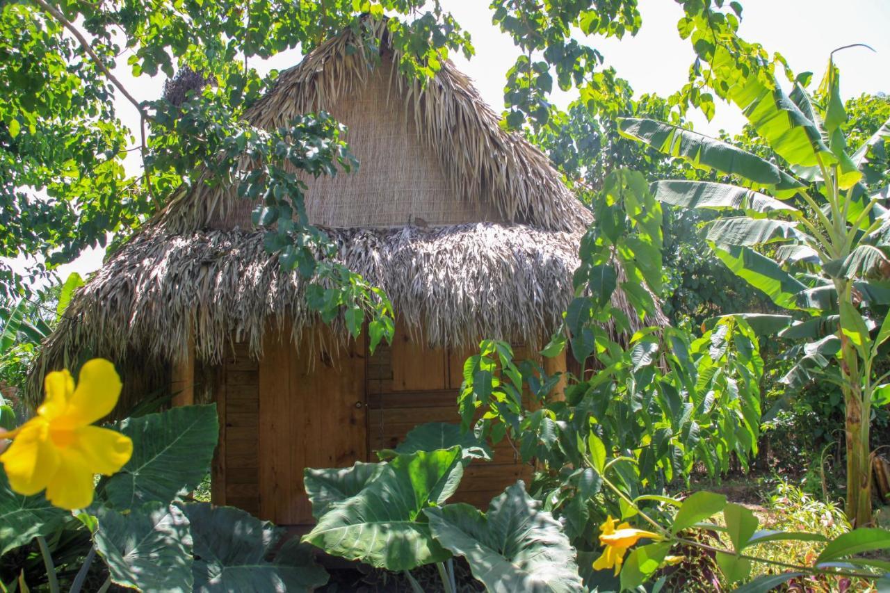 El Limon Samana Ecolodge מראה חיצוני תמונה