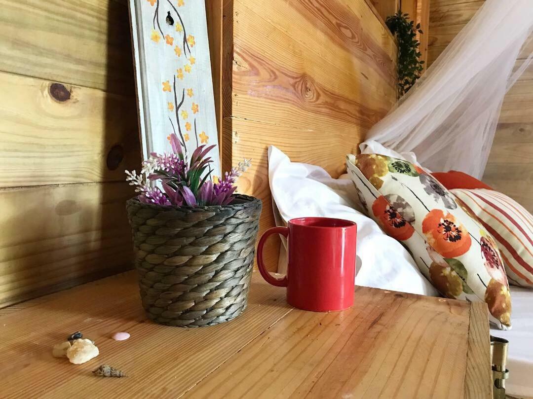 El Limon Samana Ecolodge מראה חיצוני תמונה