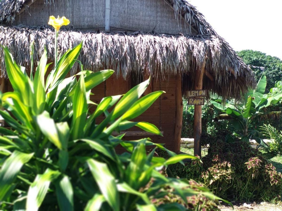 El Limon Samana Ecolodge מראה חיצוני תמונה