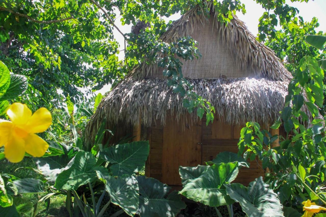 El Limon Samana Ecolodge מראה חיצוני תמונה