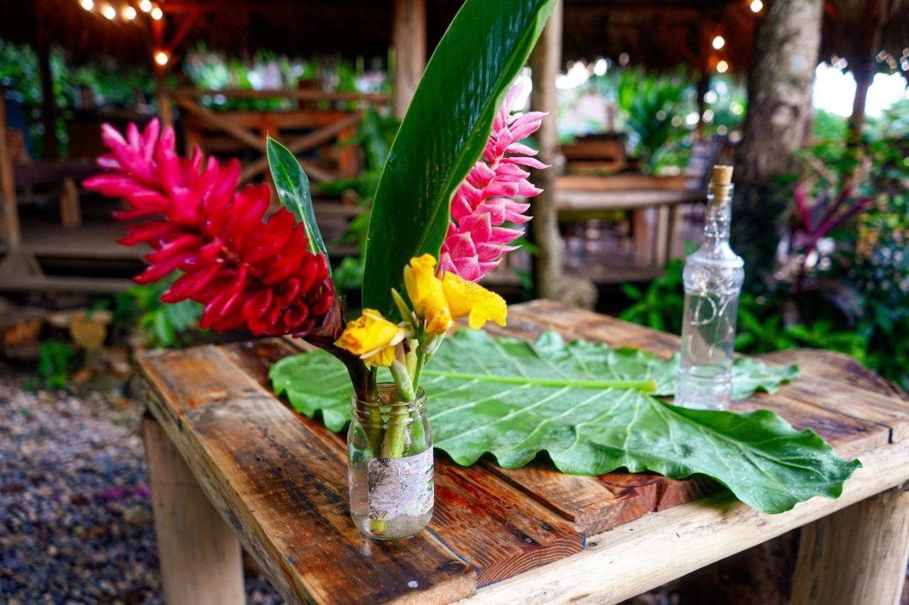 El Limon Samana Ecolodge מראה חיצוני תמונה