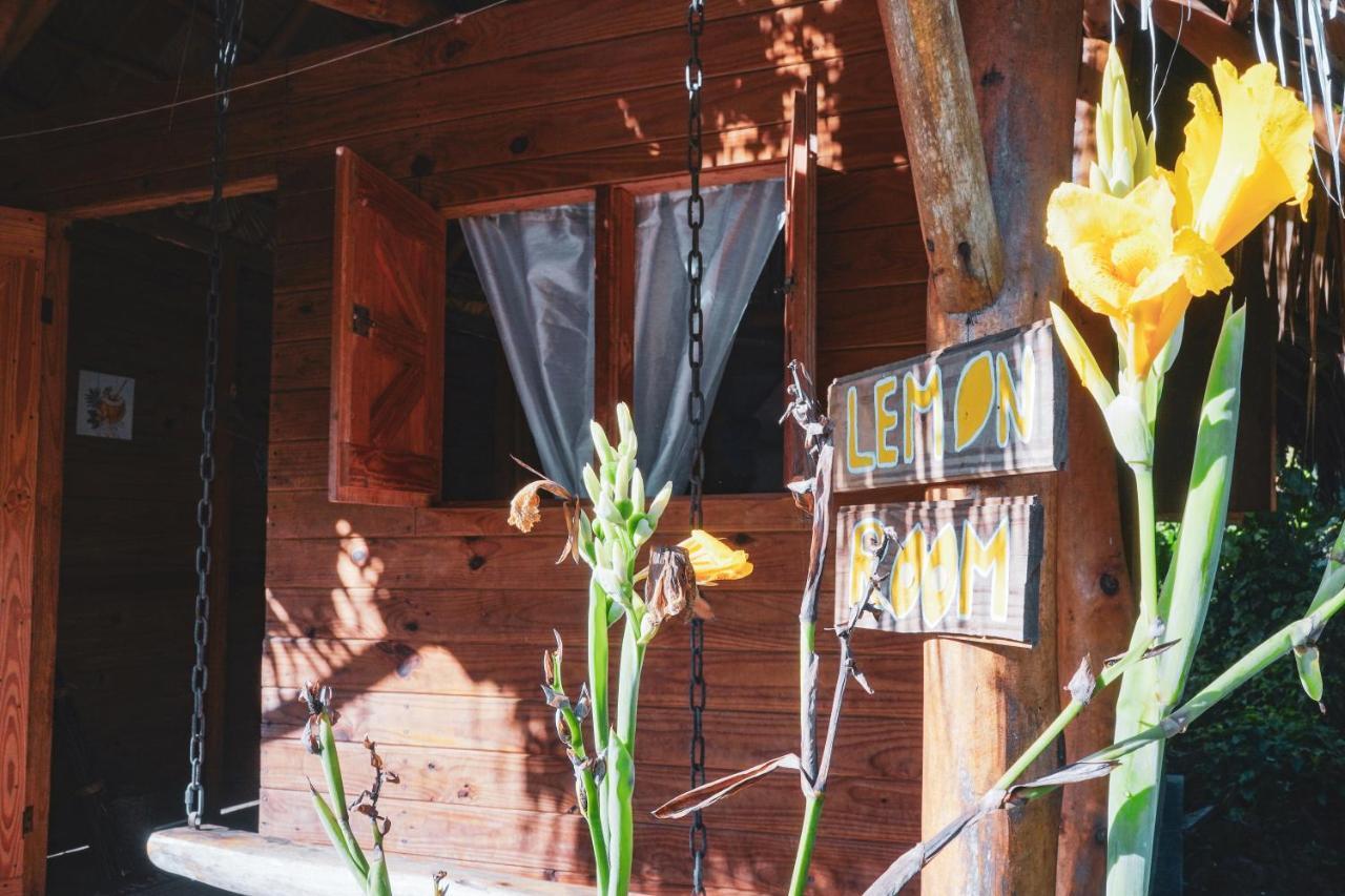 El Limon Samana Ecolodge מראה חיצוני תמונה