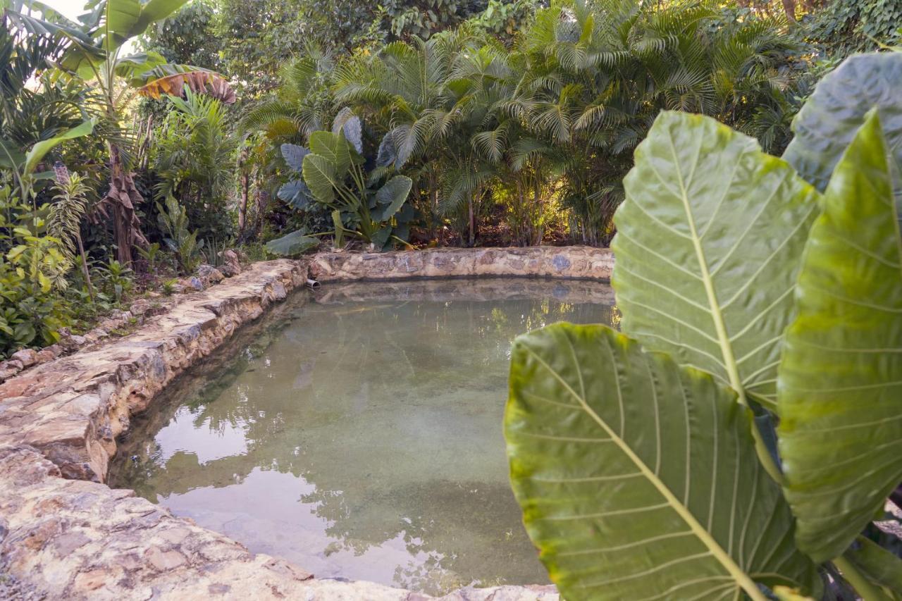 El Limon Samana Ecolodge מראה חיצוני תמונה