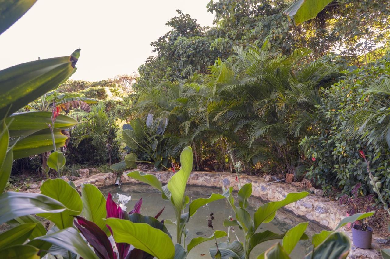 El Limon Samana Ecolodge מראה חיצוני תמונה